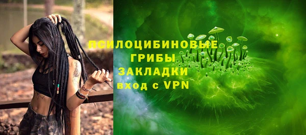 соль ск Горняк