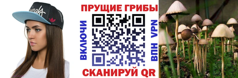 ссылка на мегу ссылка  Красноярск  Галлюциногенные грибы мицелий  где найти наркотики 